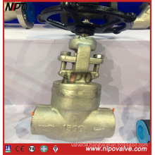 Forged Steel Thread End Pressure Seal Globe Valve